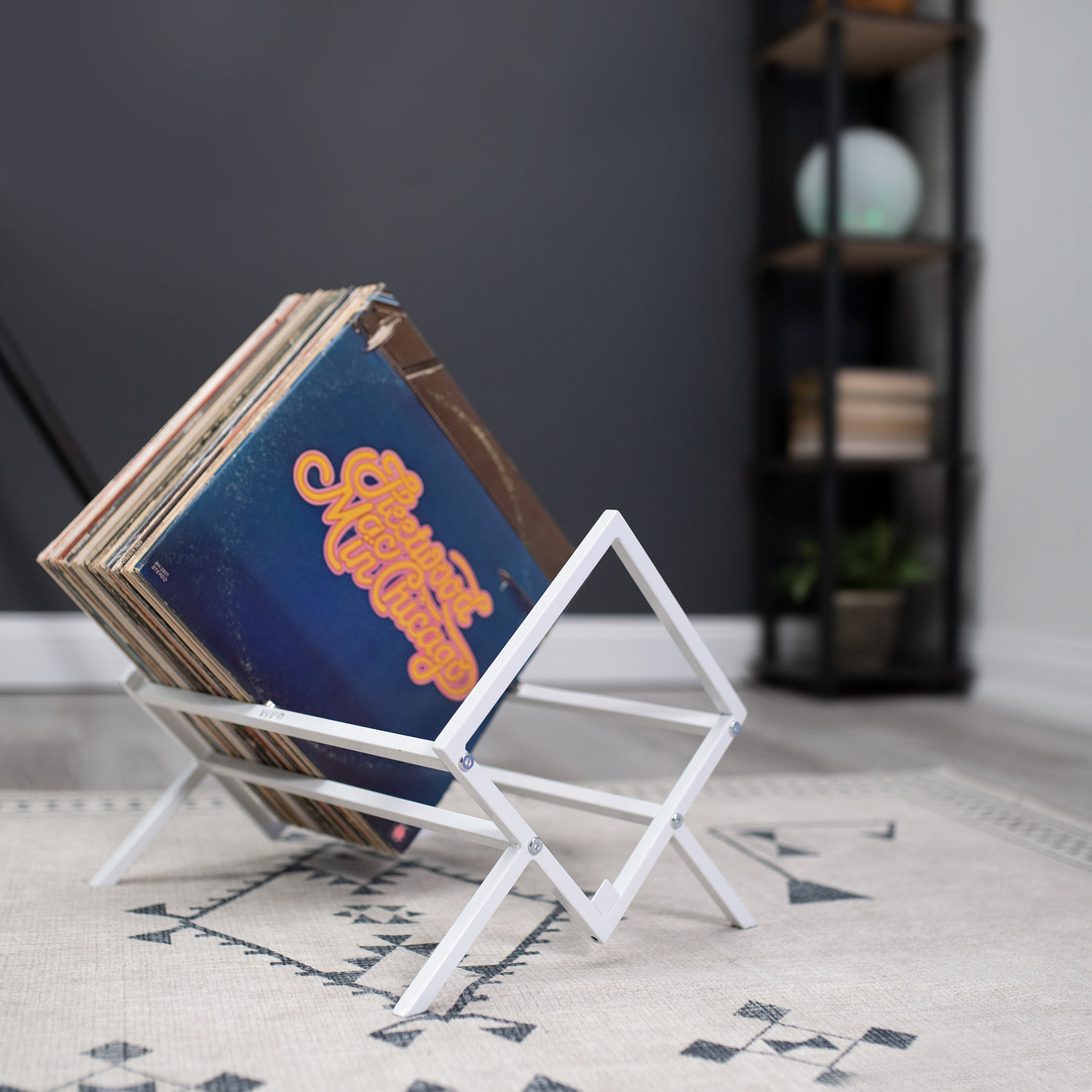 Vinyl Record Holder